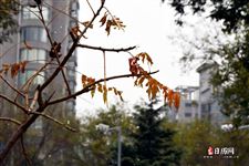 2021元旦适合旅游的城市 2021元旦适合旅游的城市