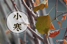 关于小寒节气的内容 关于小寒节气的内容