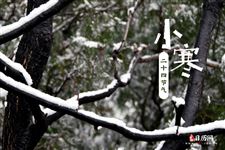 二十四节气小寒 二十四节气小寒