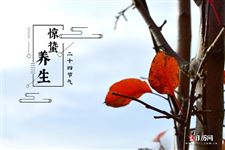春分节气的养生之道,春分节气的养生攻略 春分节气的养生之道,春分节气的养生攻略