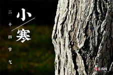 关于小寒的资料 关于小寒的资料