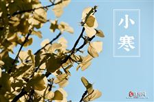 小寒水果 小寒水果