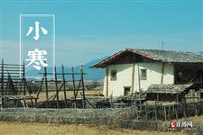 小寒吃什么食物比较养生 小寒吃什么食物比较养生