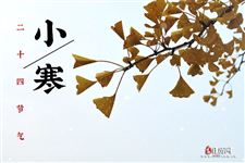 2021大寒节气的含义 2021大寒节气的含义