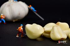 腊八蒜的功效与营养成分 腊八蒜的功效与营养成分