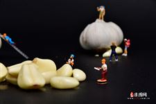 腊八蒜的腌制方法家常 腊八蒜的腌制方法家常