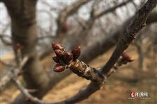 2021立春是几月几号几时几分几秒