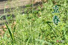 24节气简单介绍