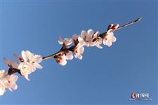 今年几点立春上午下午 2022年立春几点几分
