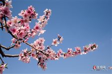立春八字祝福语 立春八字祝福语