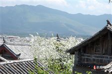 2021年立春时间 2021年立春时间点