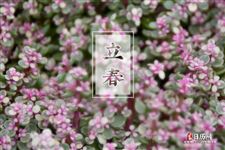 描写立春节气的诗句 描写立春节气的诗句