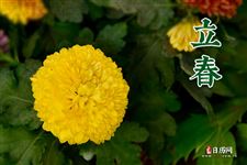 描写立春的古诗幼儿园