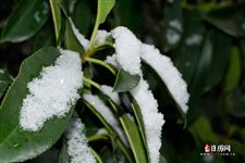 春节为什么不在春天