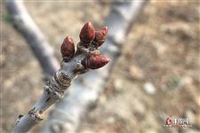 春节后立春前出生属啥 春节后立春前出生属啥