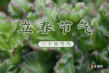 立春这天出生好不好 立春这天出生好不好