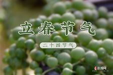 立春前一天上坟好吗 立春前一天上坟好吗