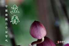 立春在前还是初春在前 立春在前还是初春在前