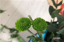 2020年腊月十七适合结婚吗