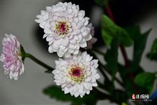 情人节送鲜花留言 情人节送鲜花留言