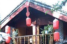 春节起源于哪个时期，起源于什么时候