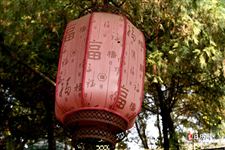 2021年大年初六是黄道吉日吗
