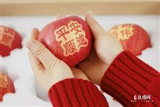 春节送礼送什么给领导