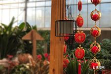 过春节的国家和地区