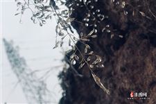 2021年正月初七宜忌不能做什么