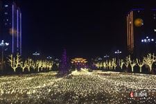 元宵节的花灯有什么样的