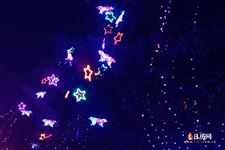 元宵节问候语 元宵节问候语