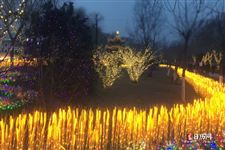 元宵节在什么节之后 元宵节在什么节之后