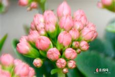 元宵节是几月几日星期几