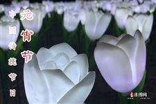 元宵节的花灯种类有哪些 元宵节的花灯种类有哪些