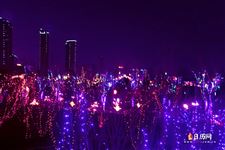 元宵节的由来和风俗 元宵节的由来和风俗