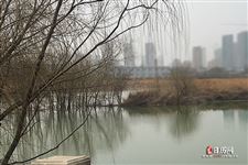 2021年植树节适合结婚吗