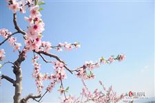 正月十九是哪位菩萨生日