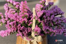 女生节文案，女生节文案祝福
