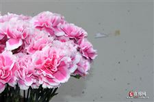 女生节是什么节，女生节是怎么来的