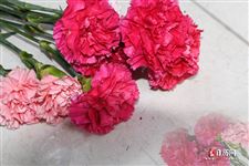 女神节送什么礼物好，3月8日女神节送什么礼物
