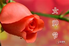 女神节是几月几日，2021年女神节是几月几日