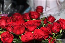 三八妇女节活动主题，2021年三八妇女节活动主题名称