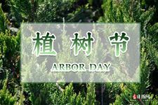 关于植树节的标题