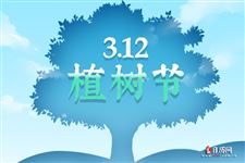 植树节活动方案