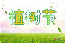 植树节主题