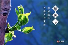 每年植树节是几月几号