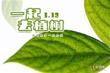小学生植树节标语口号