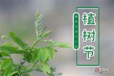 植树节的英语单词