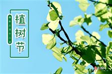 植树节的古诗大全