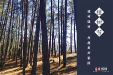 中国植树节是几月几号